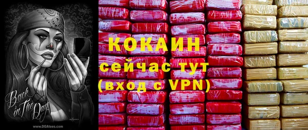 крисы Михайловск