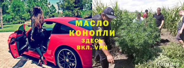 крисы Михайловск