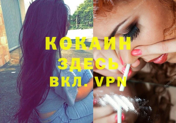 мяу мяу мука Михайловка