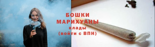 крисы Михайловск