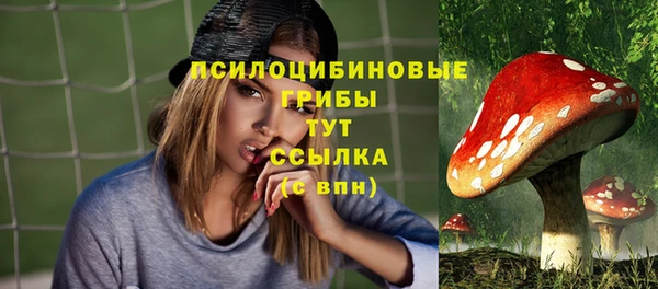 крисы Михайловск