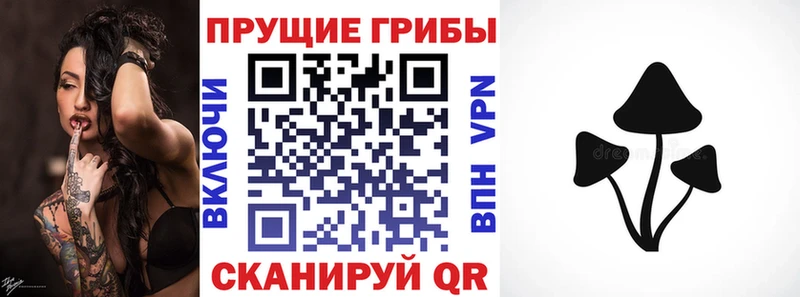 закладки Цивильск Галлюциногенные грибы GOLDEN TEACHER